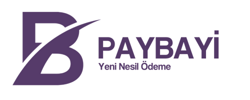 PayBayi Logo